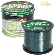 Леска Carp Expert Dark Green 1200 м
