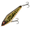 Golden Burbot 
