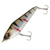  Wounded Zander 