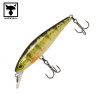 Ghost G Perch 