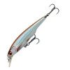 Roach 