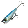 Ghost Sardine 