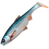 Roach 