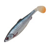 Roach 
