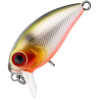 VA039 