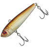 Zander 