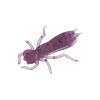 Uv purple 