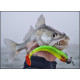 Силикон RELAX KINGSHAD 4"