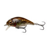 GOBY 